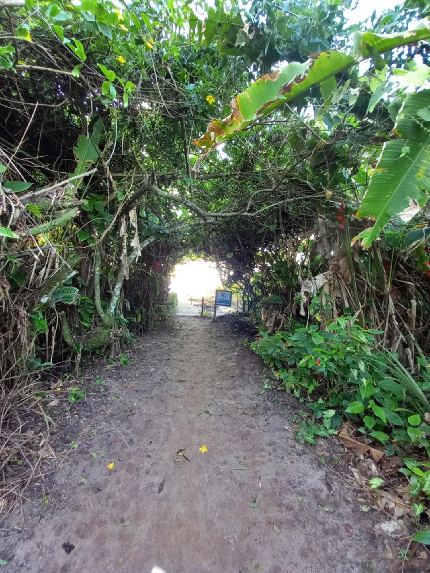 Suite No Condominio Itamambuca - Muito Perto Da Praia !!! Ubatuba Bagian luar foto