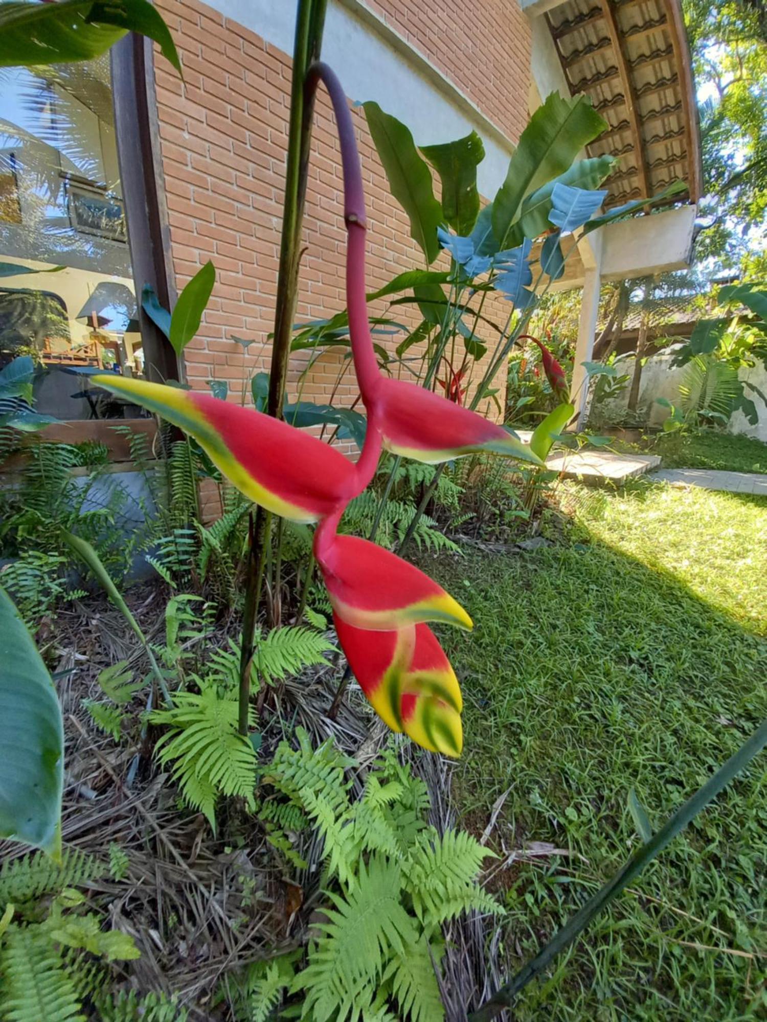Suite No Condominio Itamambuca - Muito Perto Da Praia !!! Ubatuba Bagian luar foto