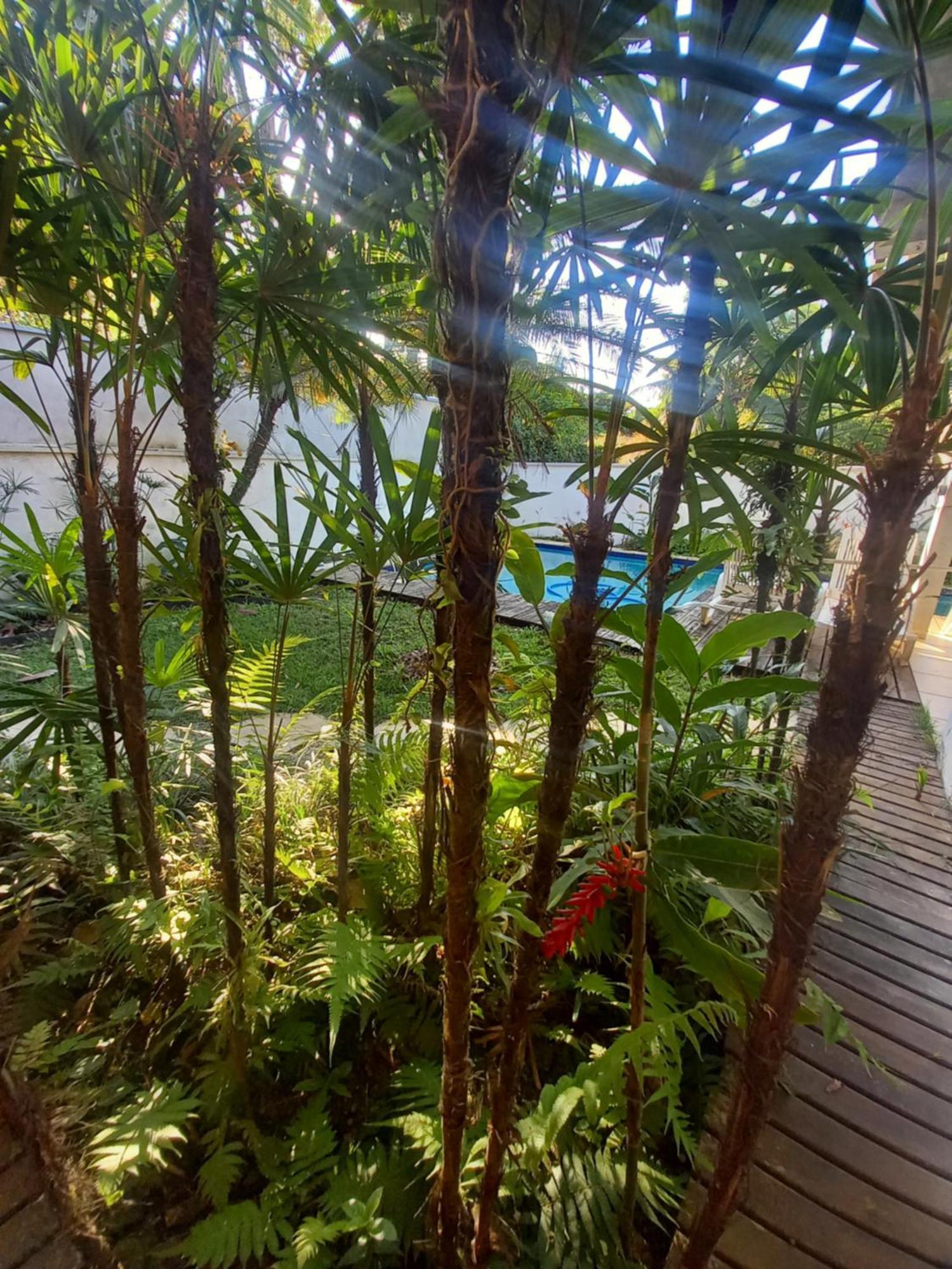 Suite No Condominio Itamambuca - Muito Perto Da Praia !!! Ubatuba Ruang foto